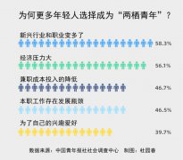 什么吸引年轻人“两栖” 58.3%受访者感到新兴职业变多