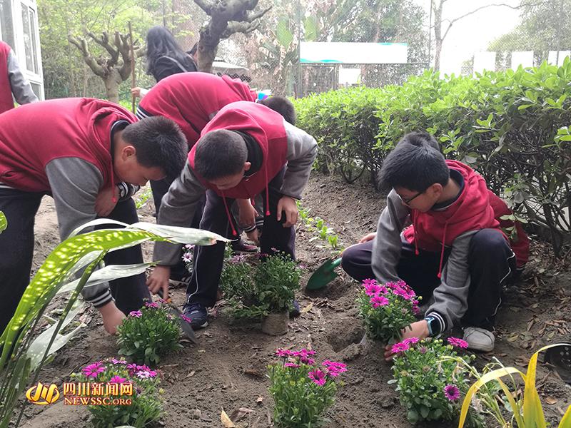 成都一中学设校园农场 上课就是种藕栽花打鱼